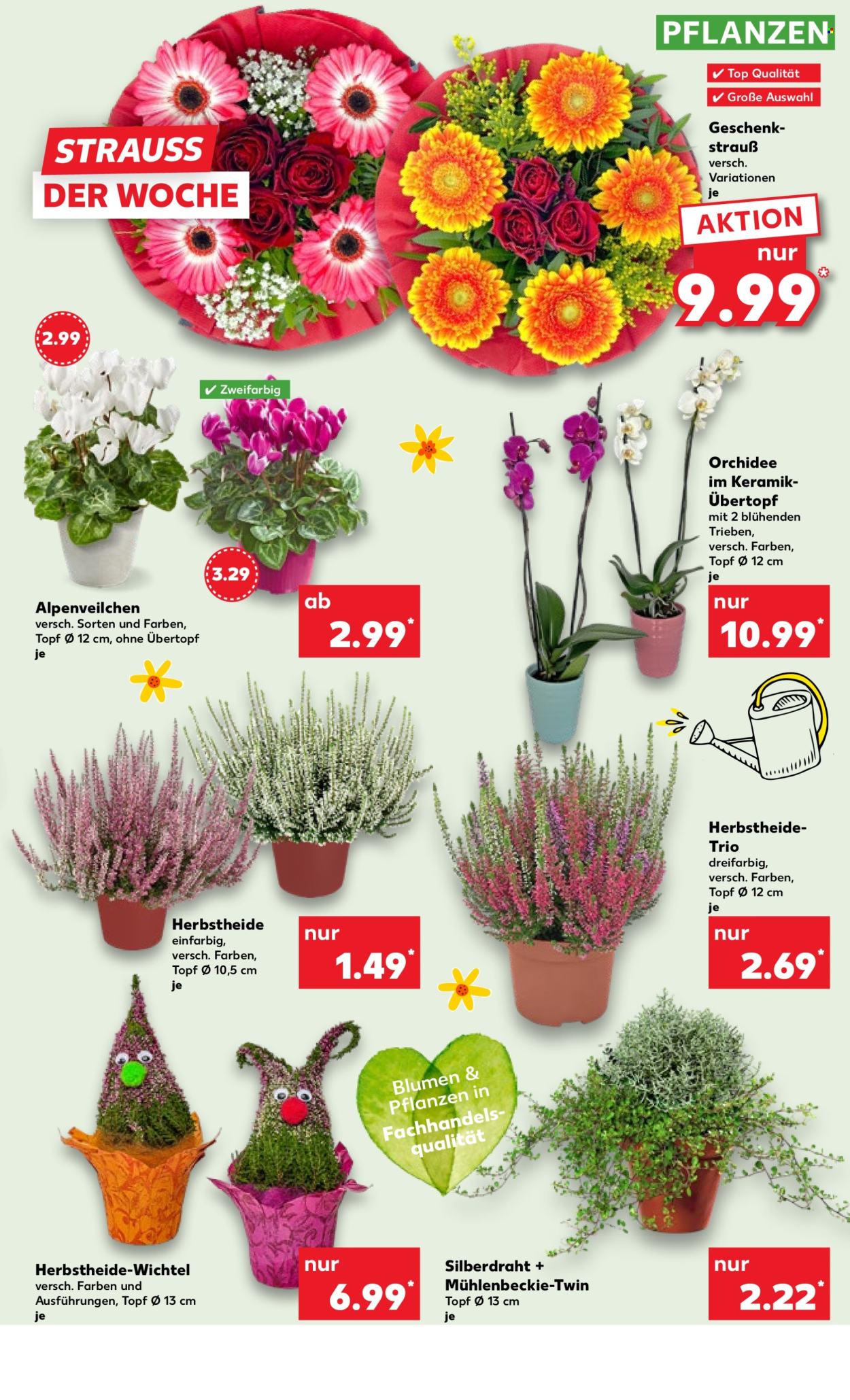 Kaufland Prospekte  - 13.10.2025 - 15.10.2025. Seite 9