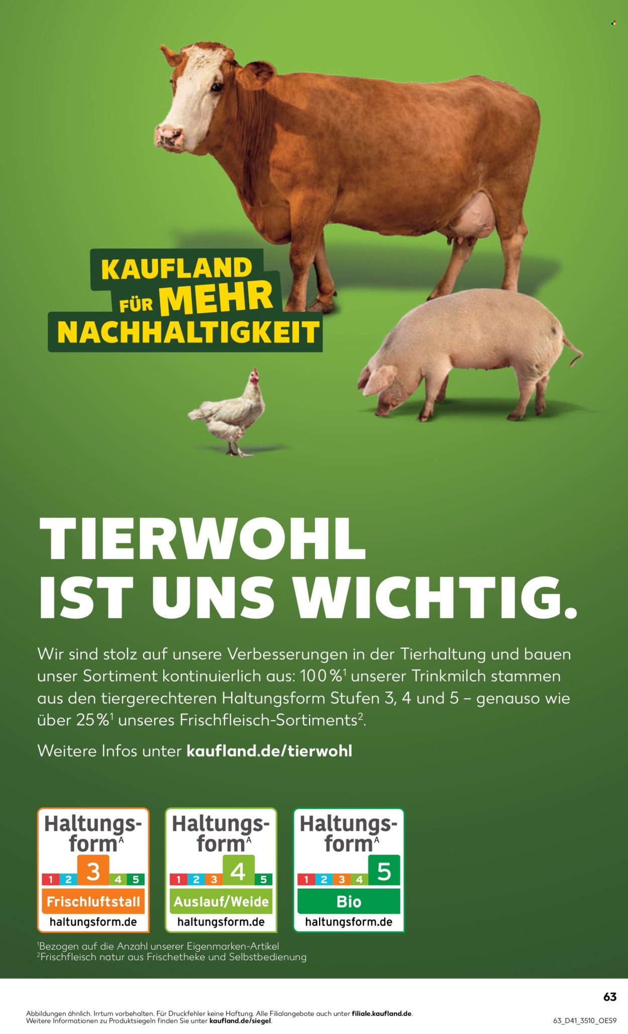 Kaufland Prospekte  - 13.10.2025 - 15.10.2025. Seite 63