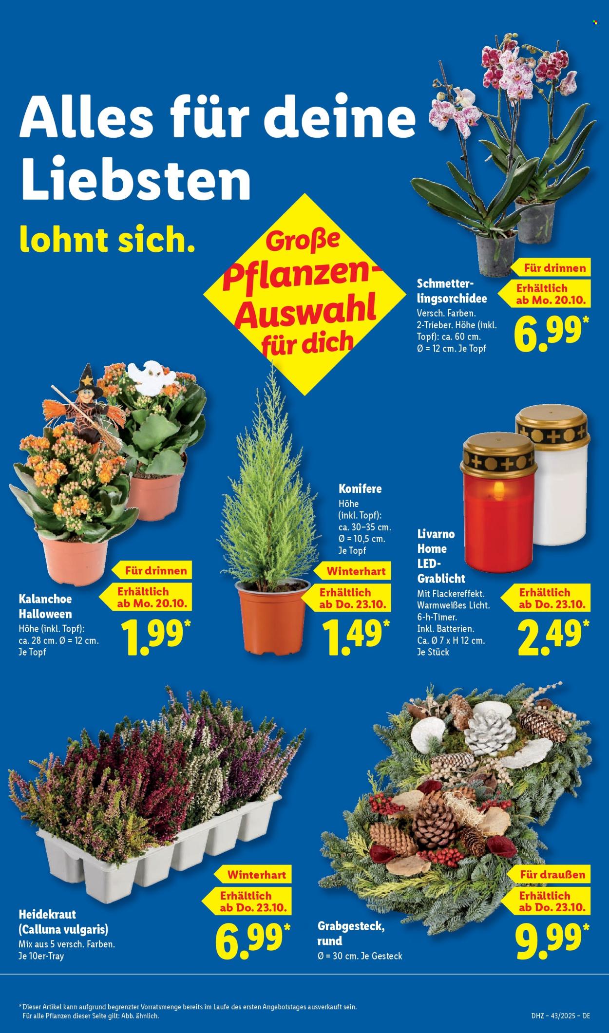 Lidl Prospekte  - 20.10.2025 - 25.10.2025. Seite 49