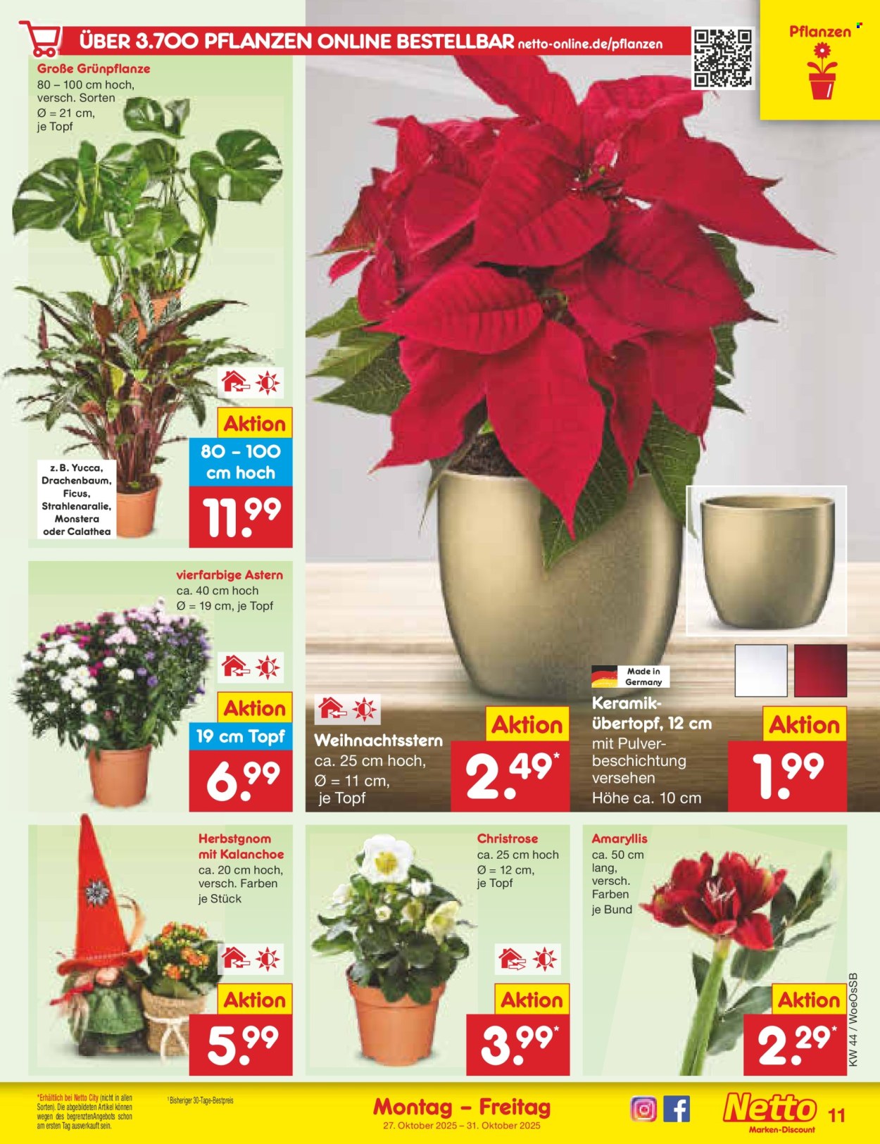 Netto Marken-Discount Prospekte  - 27.10.2025 - 31.10.2025. Seite 13