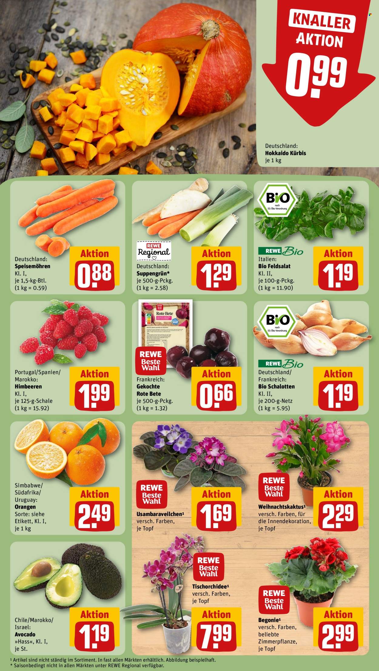REWE Prospekte  - 27.10.2025 - 2.11.2025. Seite 9
