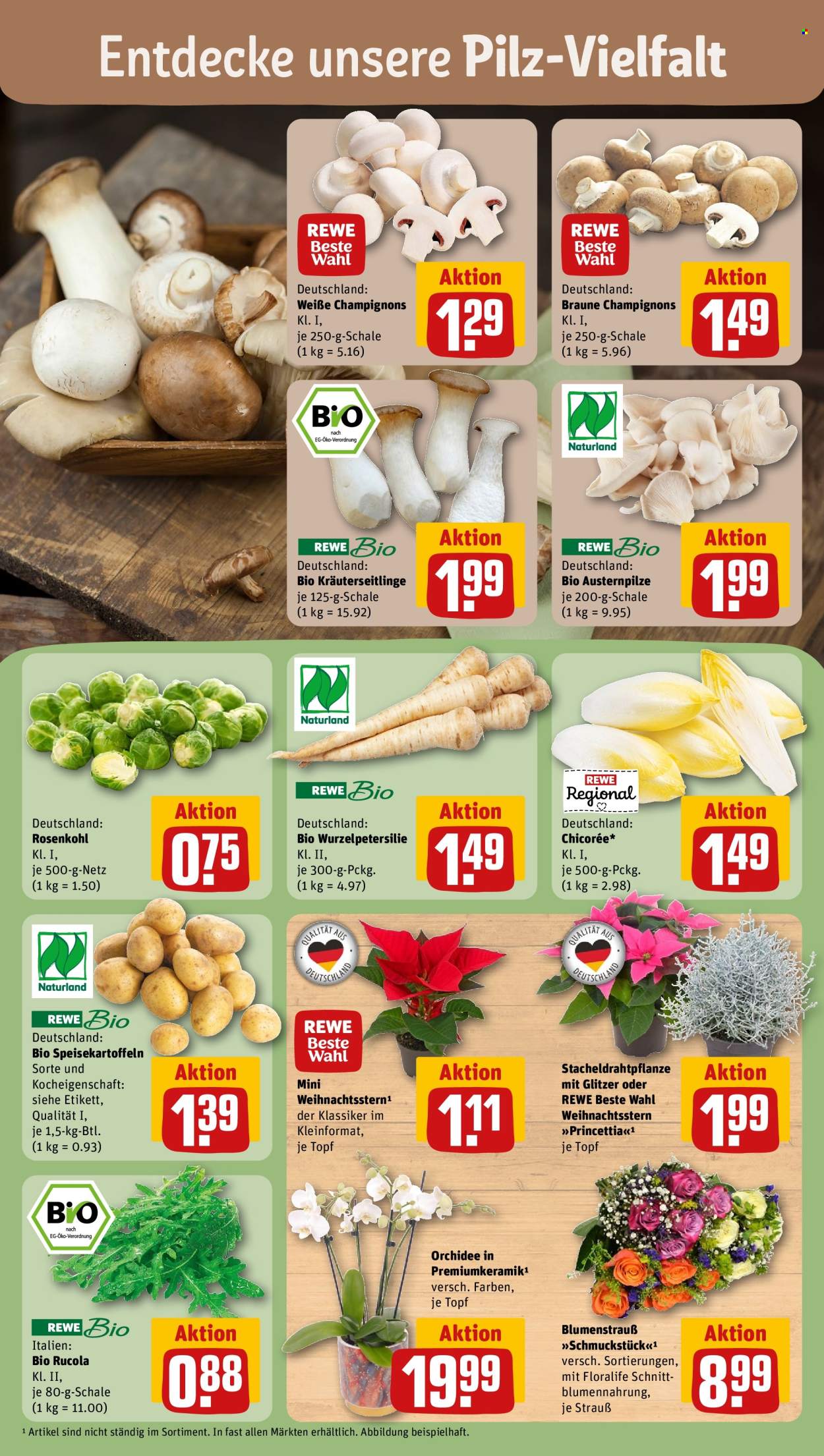 REWE Prospekte  - 3.11.2025 - 9.11.2025. Seite 7