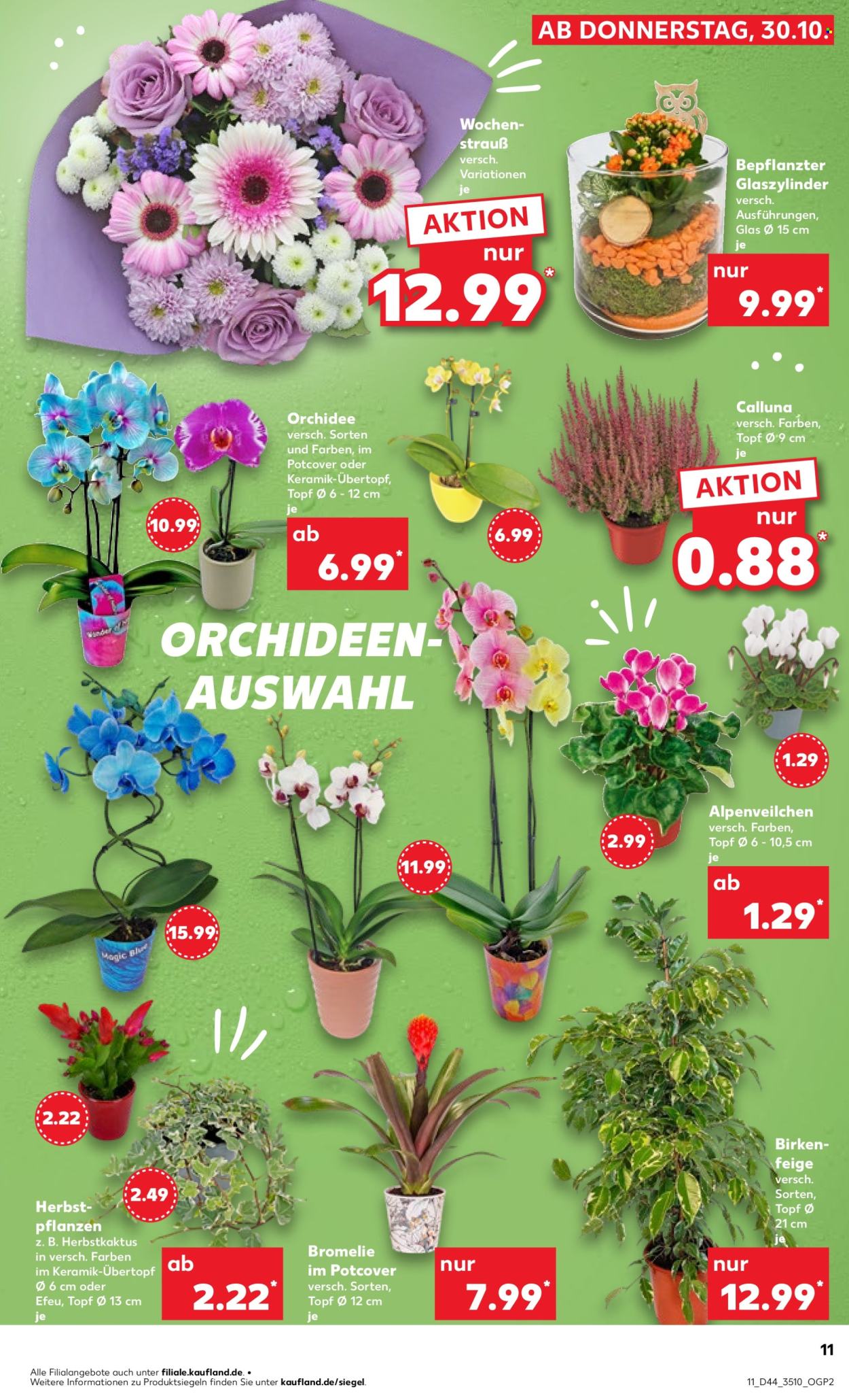 Kaufland Prospekte  - 3.11.2025 - 5.11.2025. Seite 11