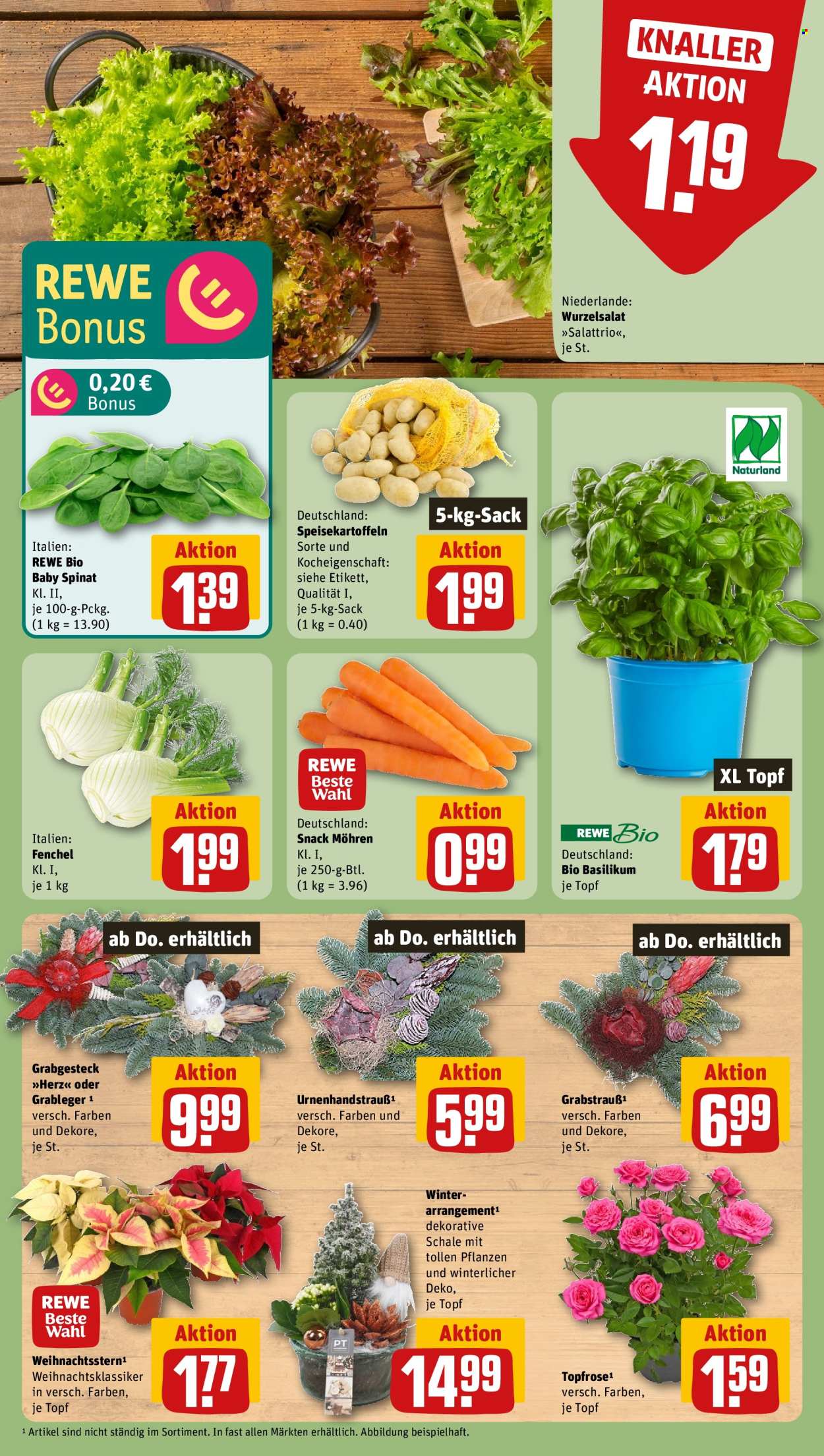 REWE Prospekte  - 10.11.2025 - 16.11.2025. Seite 7