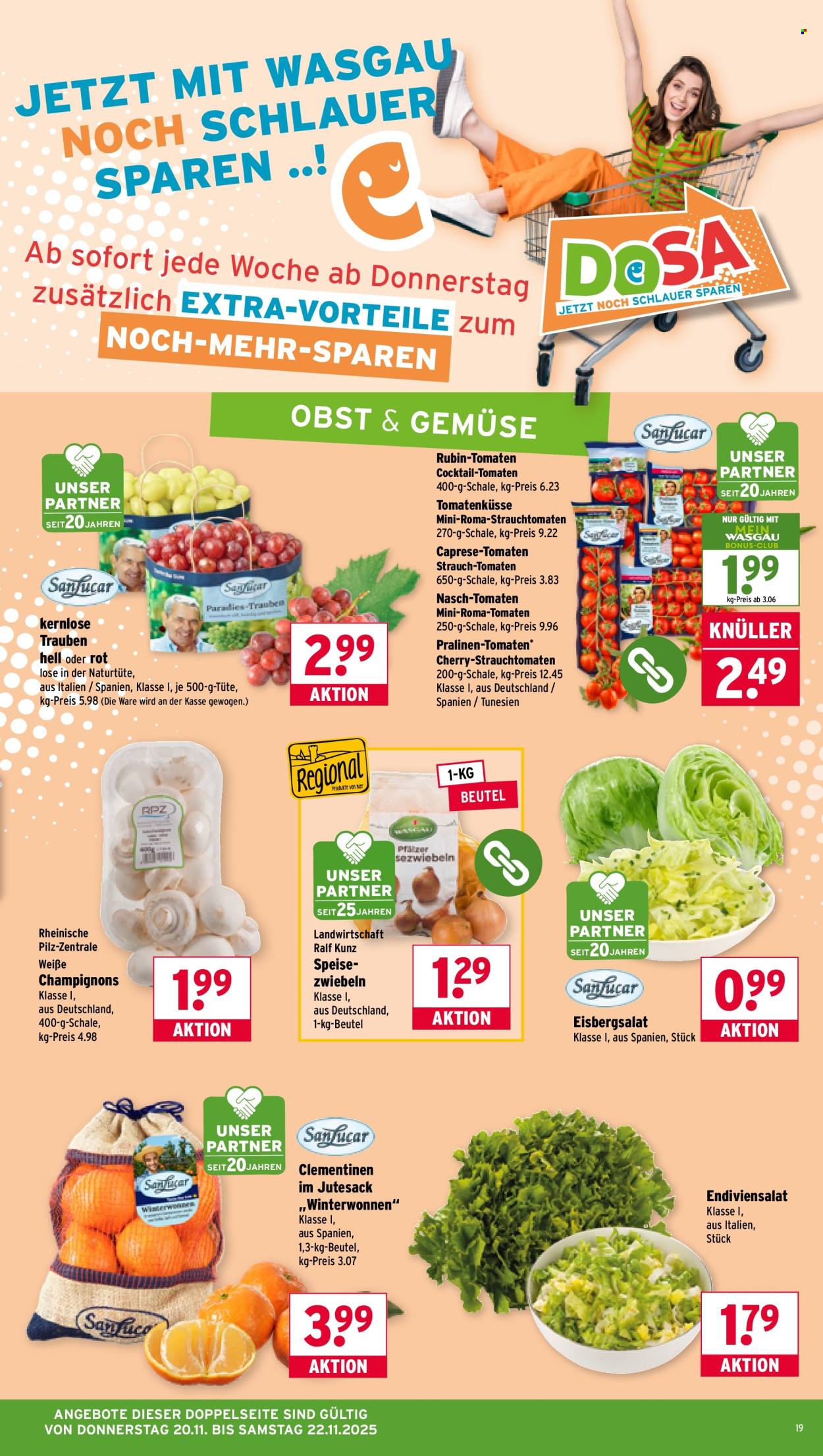 Wasgau Prospekte  - 17.11.2025 - 22.11.2025. Seite 19
