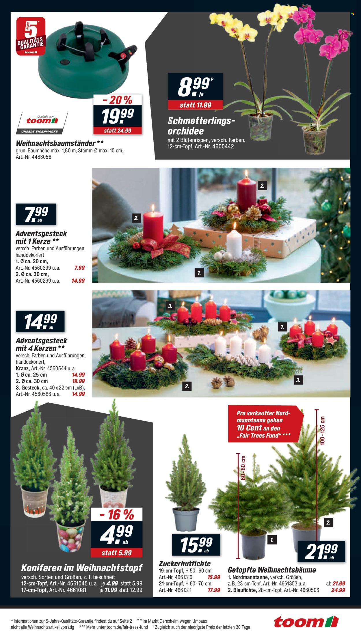 toom Baumarkt Prospekte  - 22.11.2025 - 28.11.2025. Seite 3
