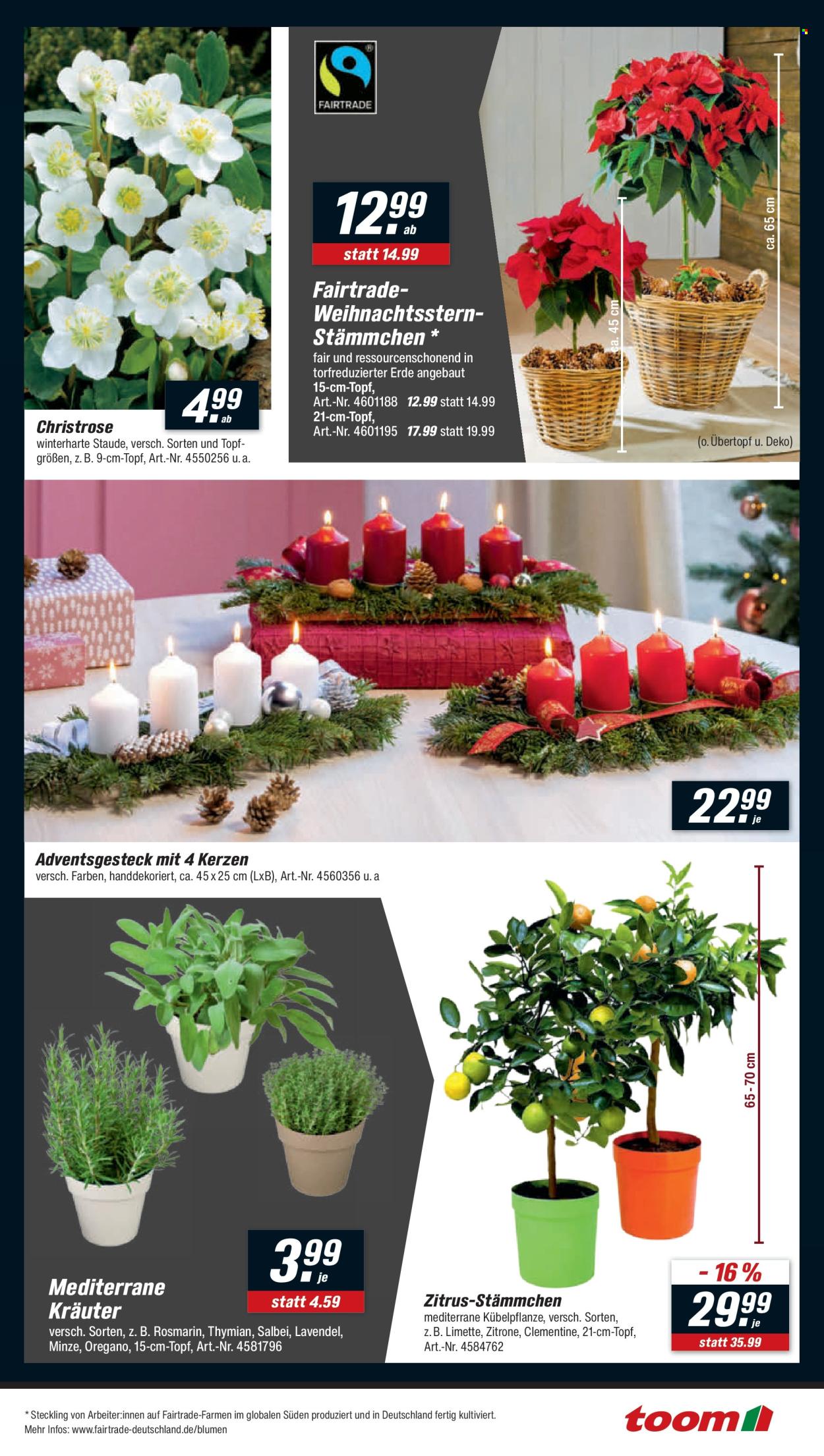 toom Baumarkt Prospekte  - 22.11.2025 - 28.11.2025. Seite 5