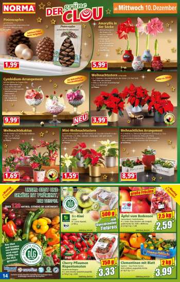 thumbnail - Weihnachtliches Arrangement