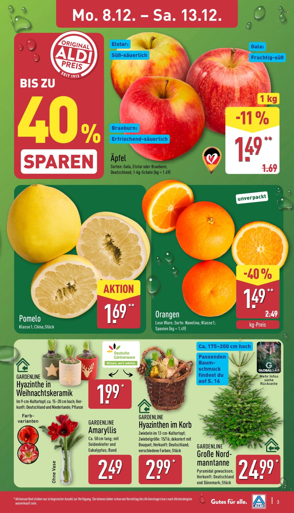 ALDI Nord Prospekte  - 8.12.2025 - 13.12.2025. Seite 3