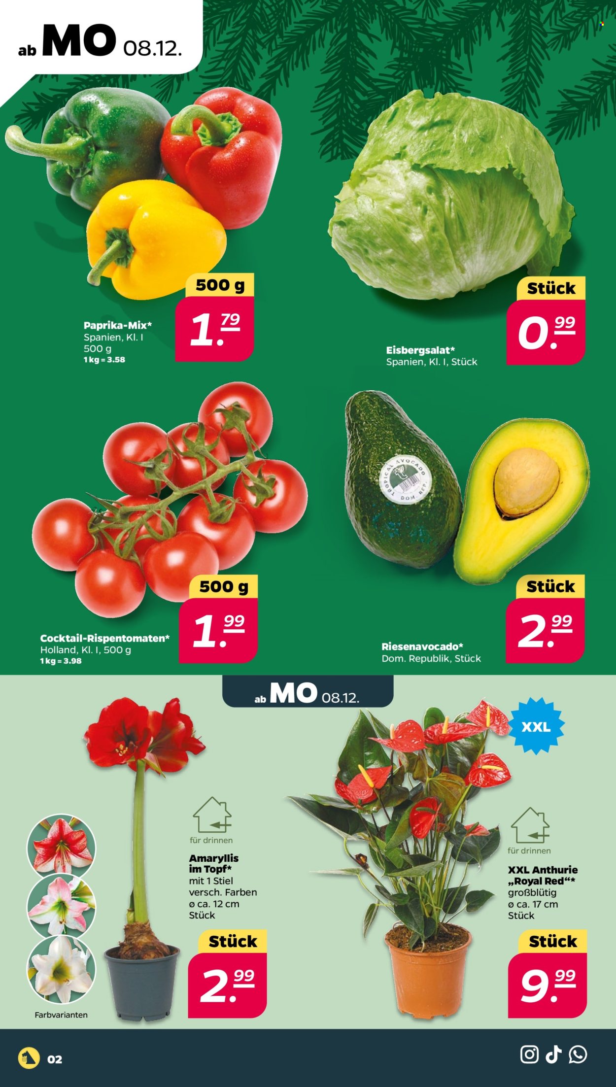 Netto Prospekte  - 8.12.2025 - 13.12.2025. Seite 2