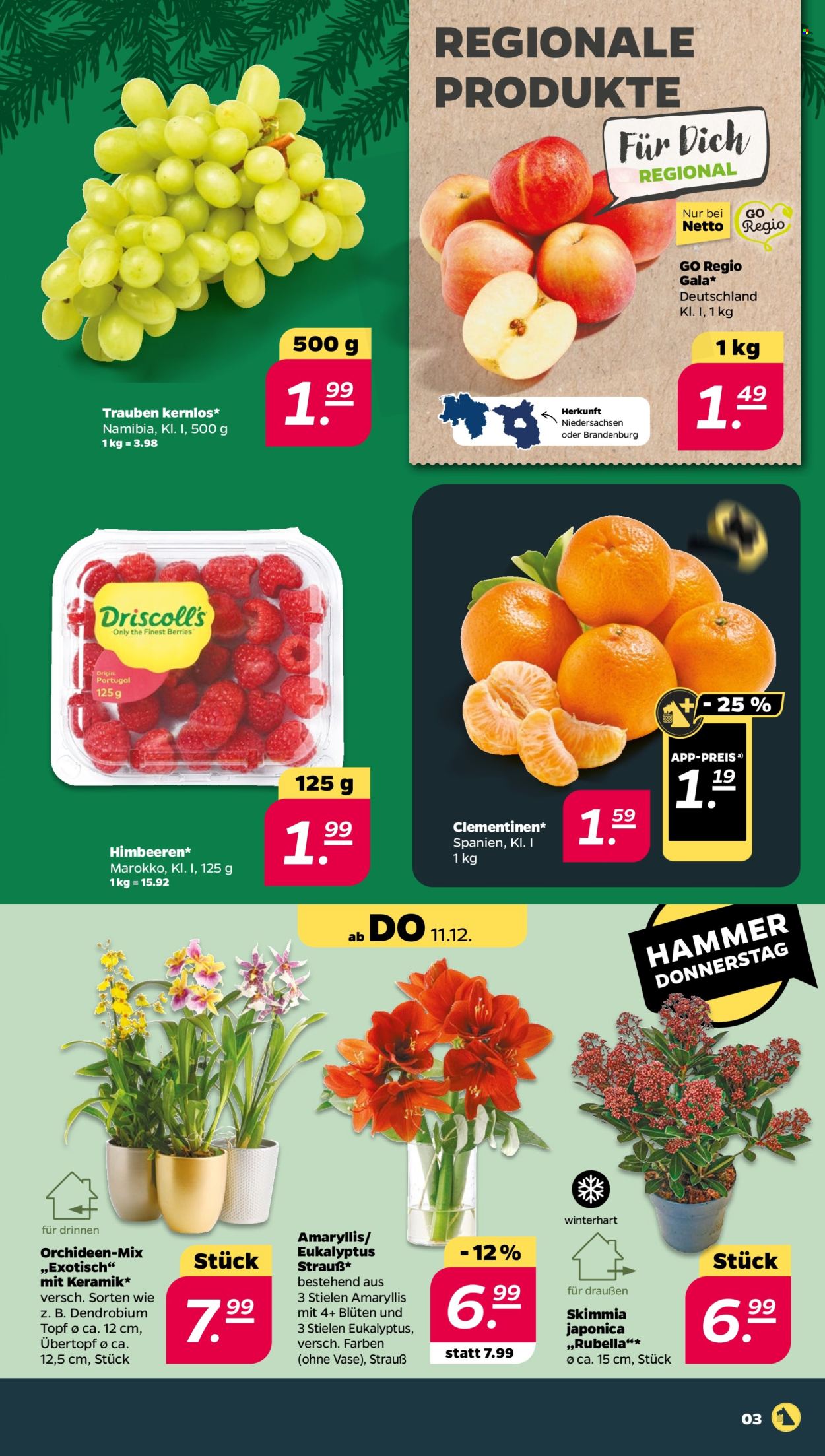 Netto Prospekte  - 8.12.2025 - 13.12.2025. Seite 3