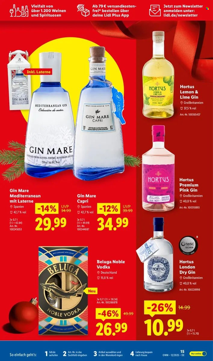 Lidl Prospekte  - 1.12.2025 - 31.12.2025. Seite 15