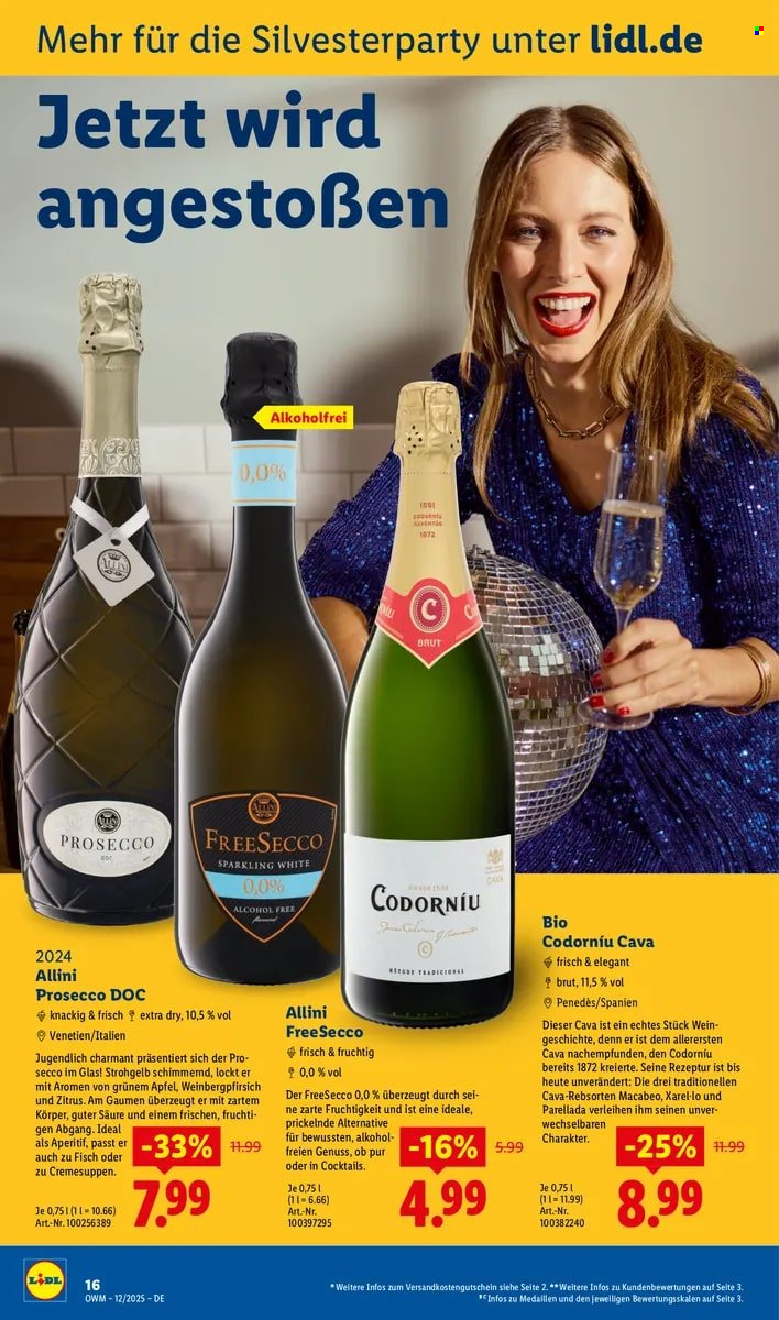 Lidl Prospekte  - 1.12.2025 - 31.12.2025. Seite 16
