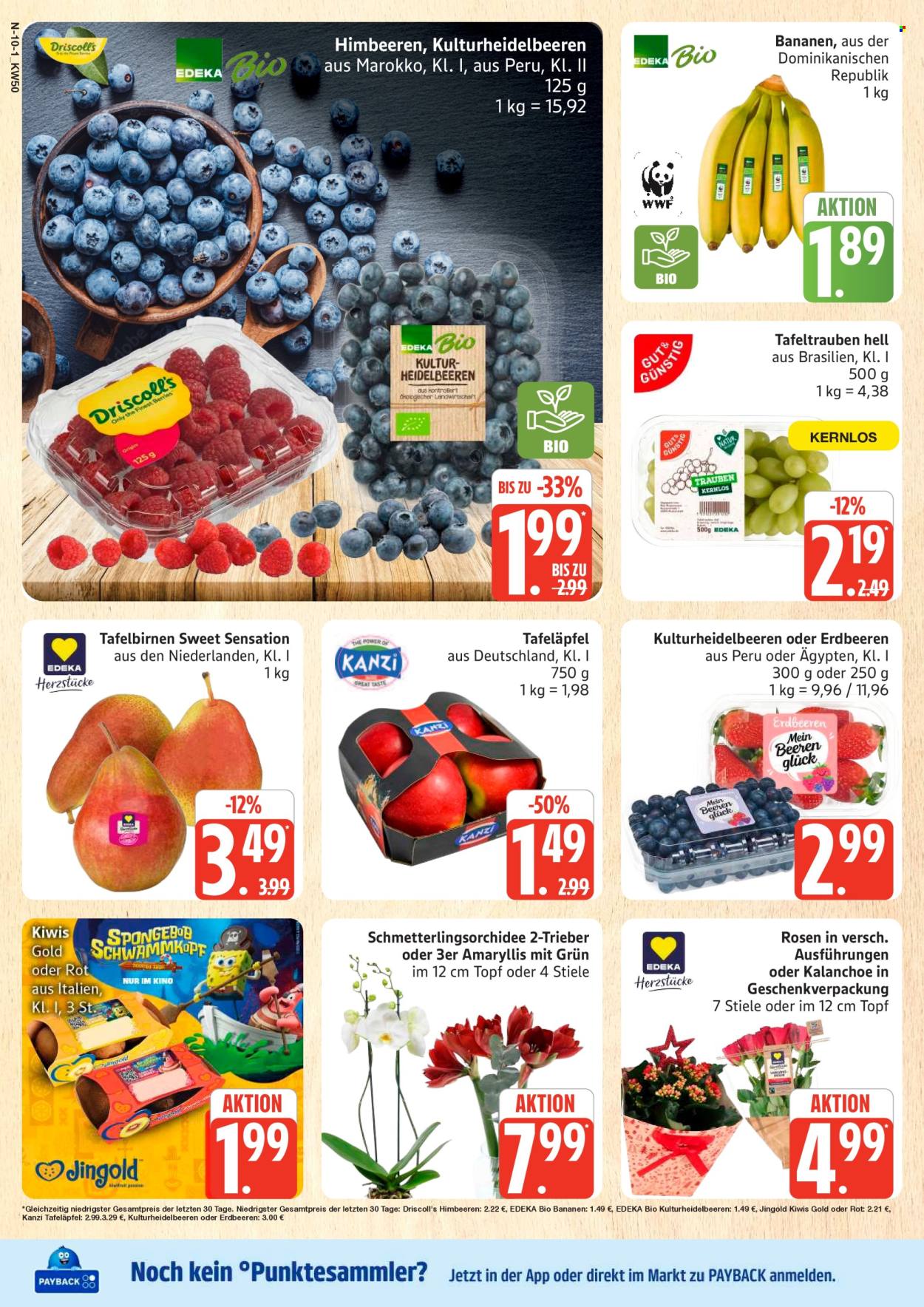 Marktkauf Prospekte  - 8.12.2025 - 13.12.2025. Seite 10