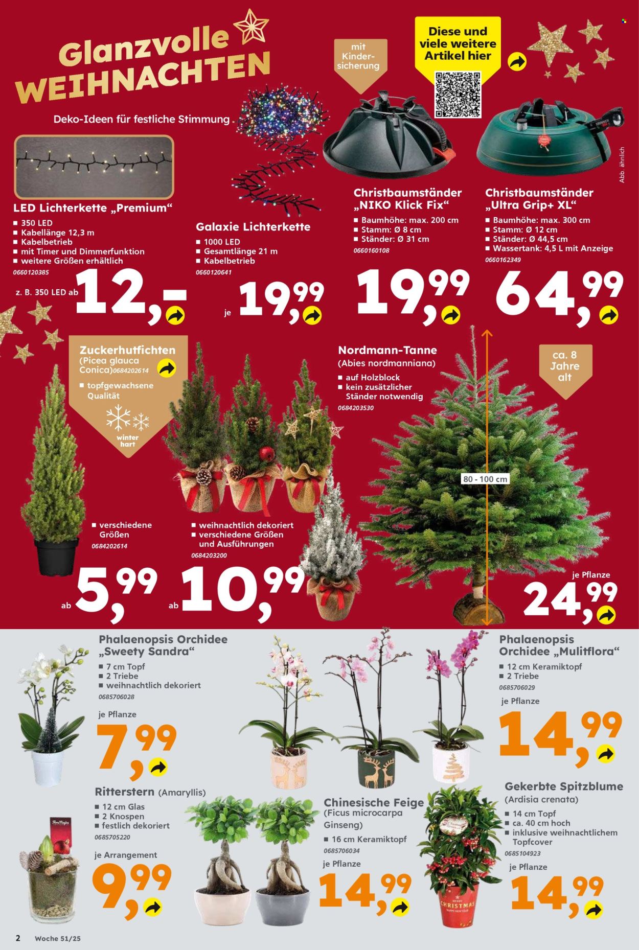 Globus Baumarkt Prospekte  - 15.12.2025 - 20.12.2025. Seite 2