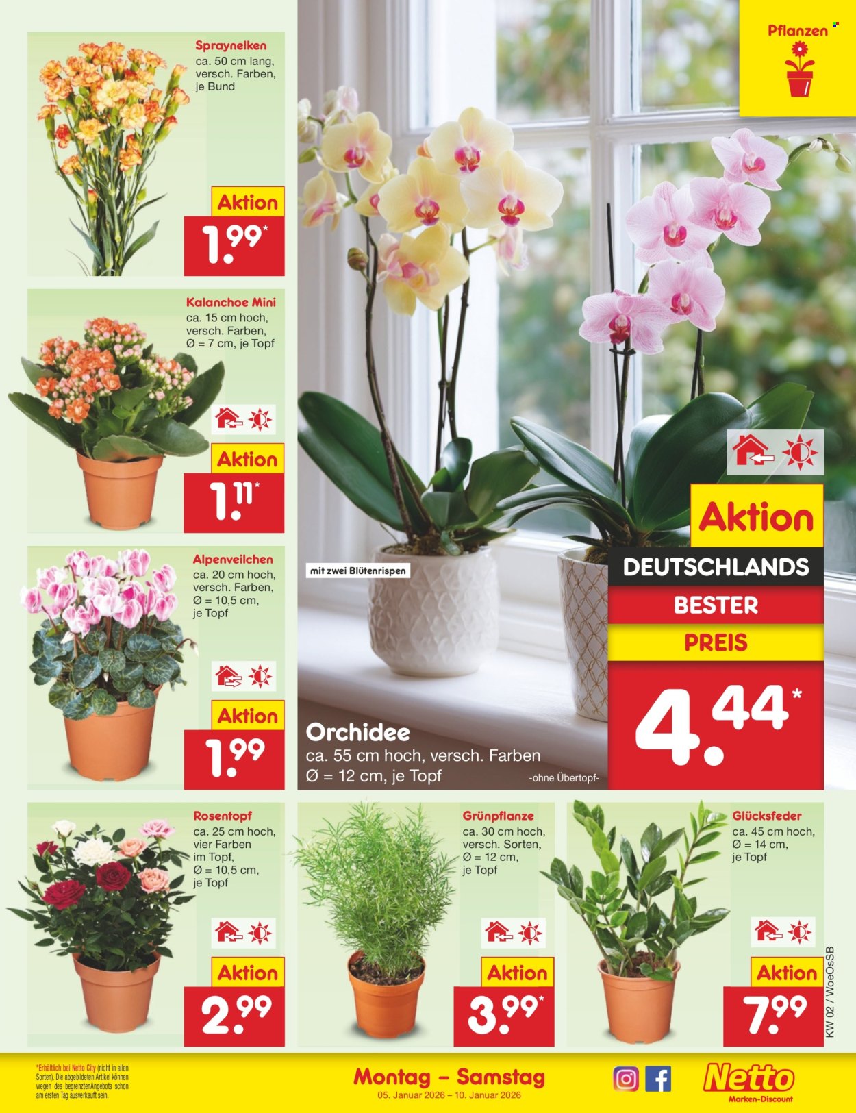 Netto Marken-Discount Prospekte  - 5.01.2026 - 10.01.2026. Seite 11