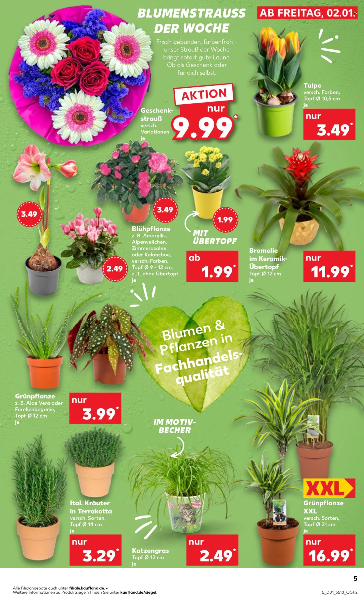 Kaufland Prospekte  - 5.01.2026 - 7.01.2026. Seite 9