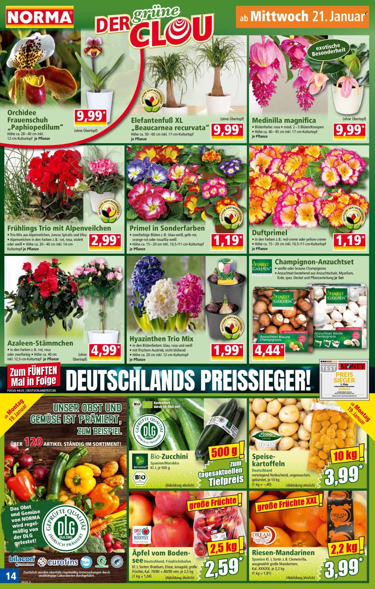 Norma Prospekte  - 19.01.2026 - 25.01.2026. Seite 14