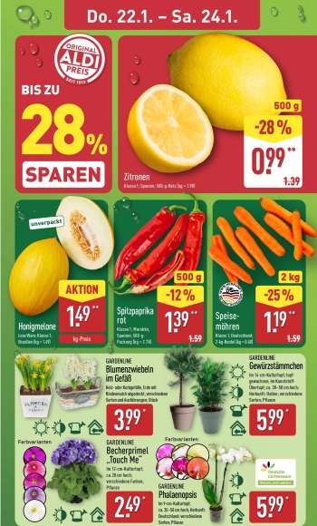 thumbnail - GARDENLINE Blumenzwiebeln im Gefäß