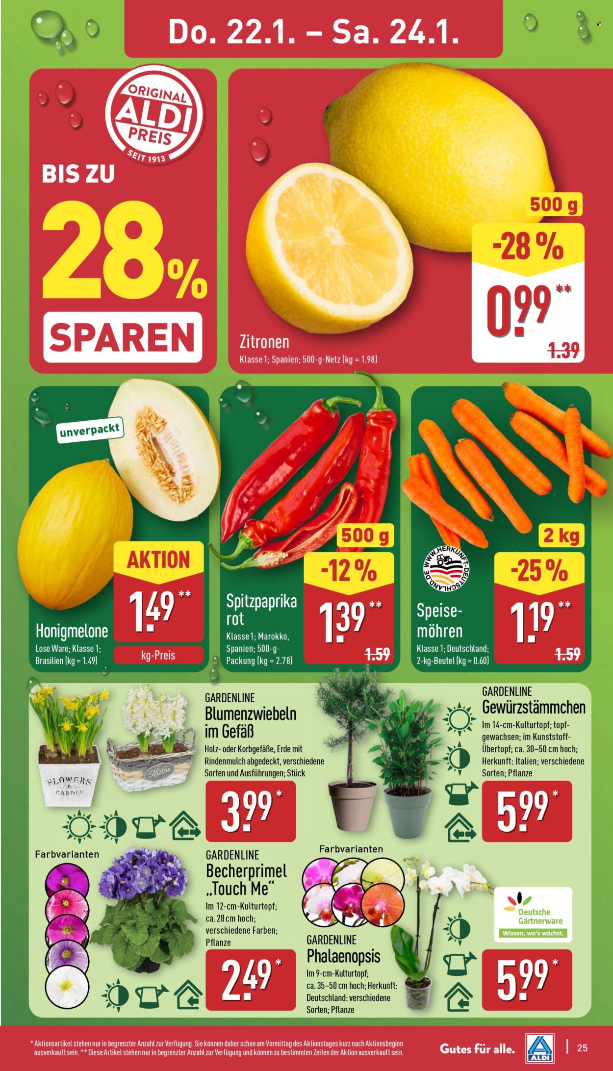 ALDI Nord Prospekte  - 19.01.2026 - 24.01.2026. Seite 25