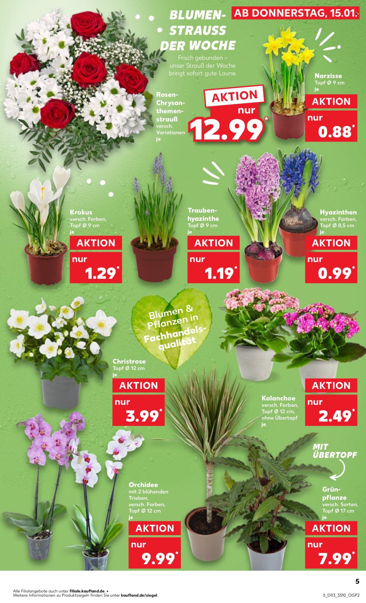 Kaufland Prospekte  - 15.01.2026 - 21.01.2026. Seite 5