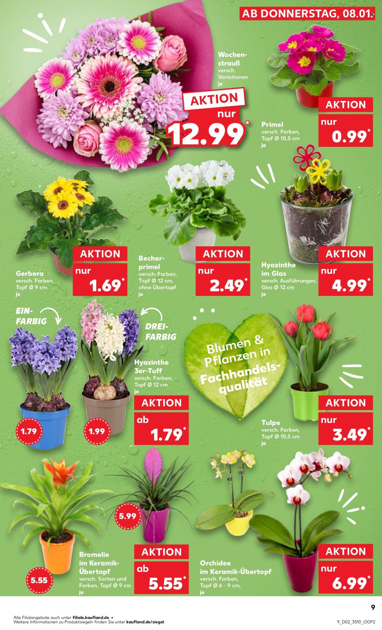 Kaufland Prospekte  - 12.01.2026 - 14.01.2026. Seite 9