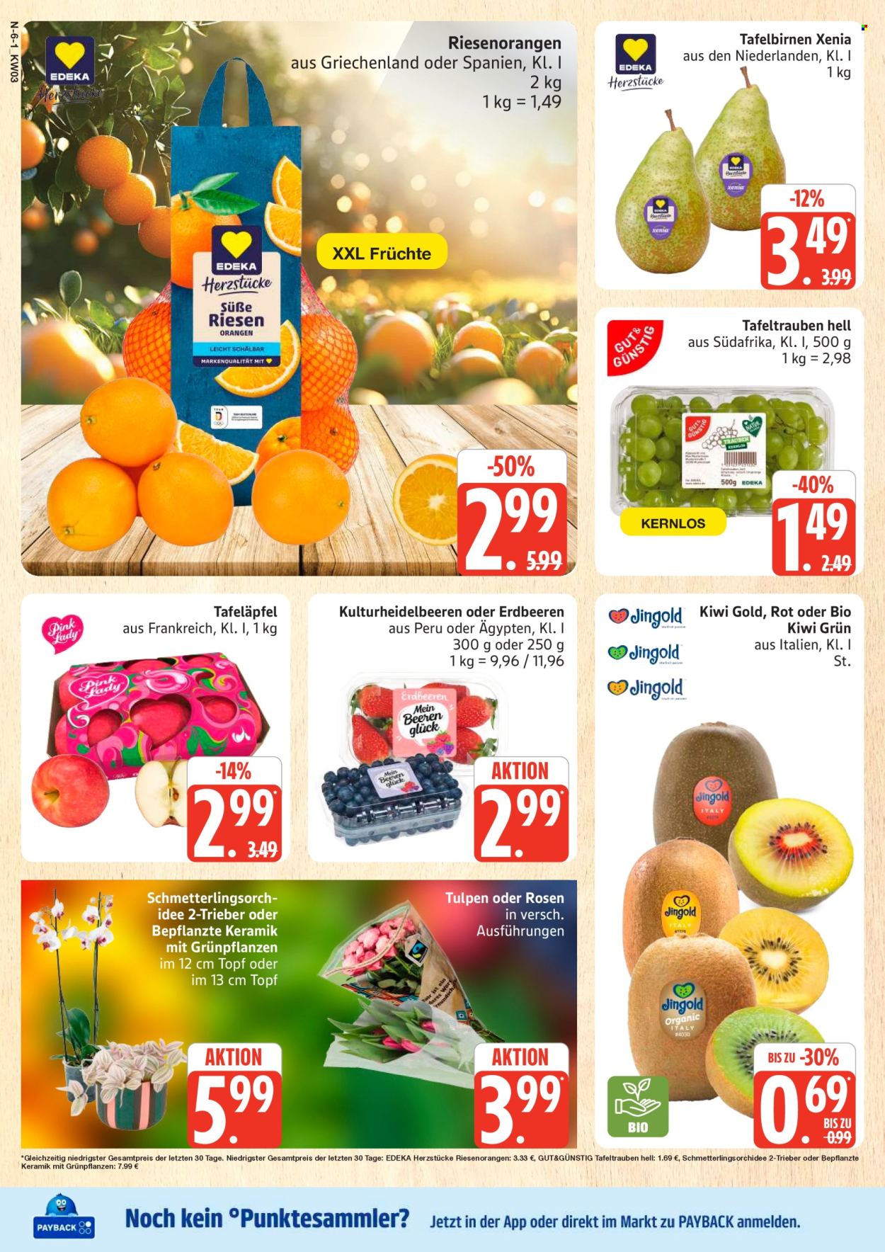 Marktkauf Prospekte  - 12.01.2026 - 17.01.2026. Seite 6