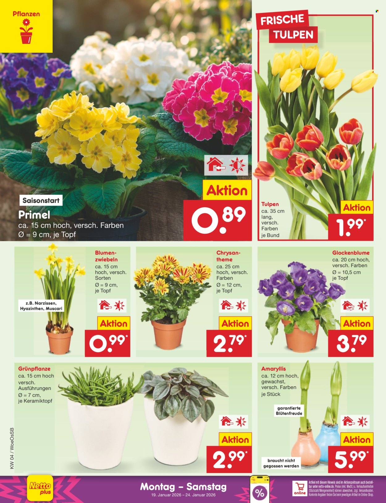 Netto Marken-Discount Prospekte  - 19.01.2026 - 24.01.2026. Seite 26
