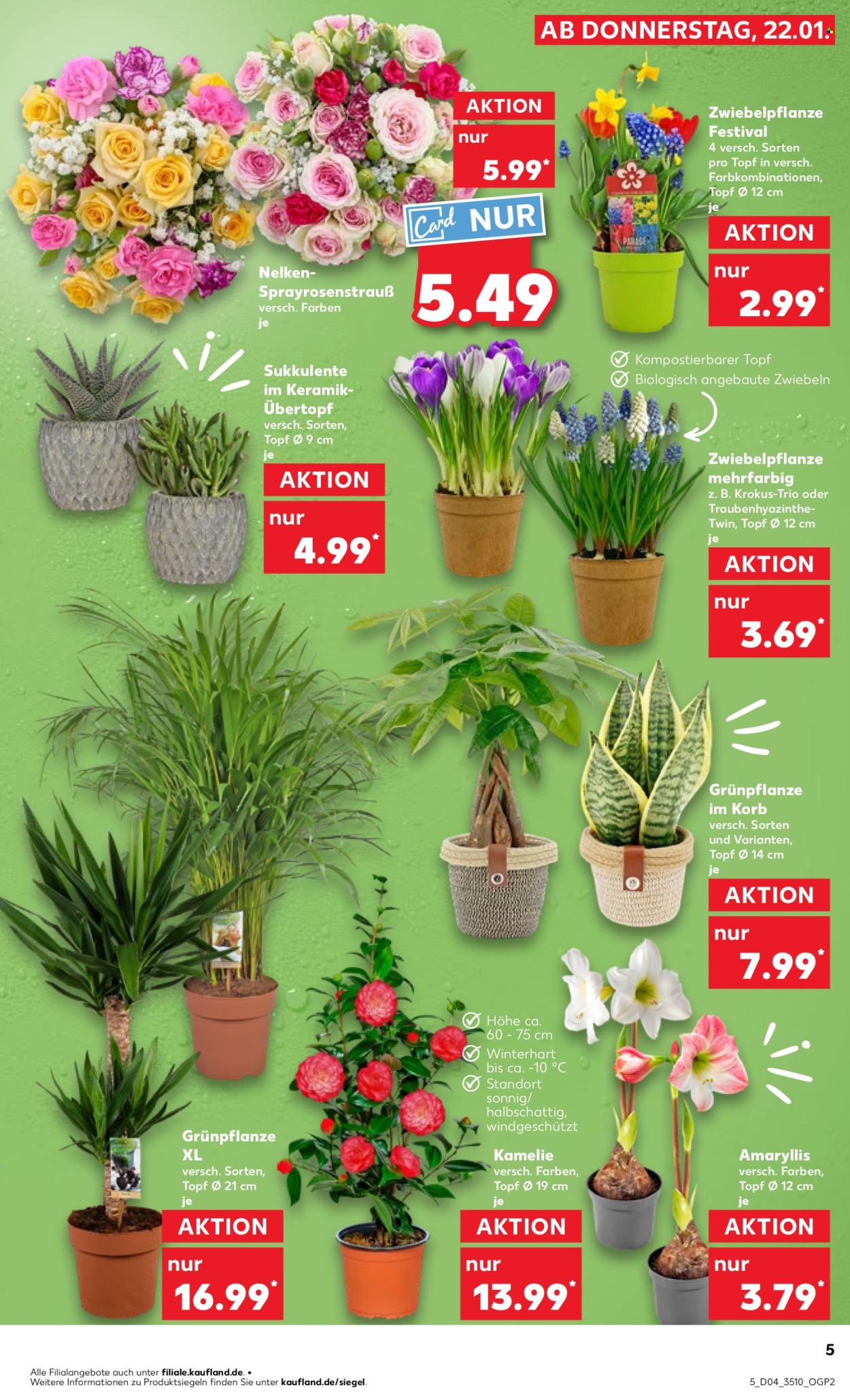 Kaufland Prospekte  - 22.01.2026 - 28.01.2026. Seite 5