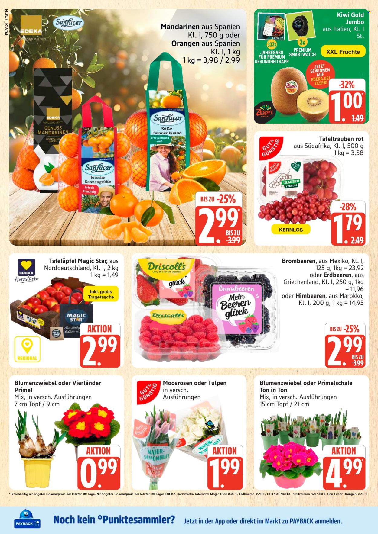 Marktkauf Prospekte  - 19.01.2026 - 24.01.2026. Seite 8
