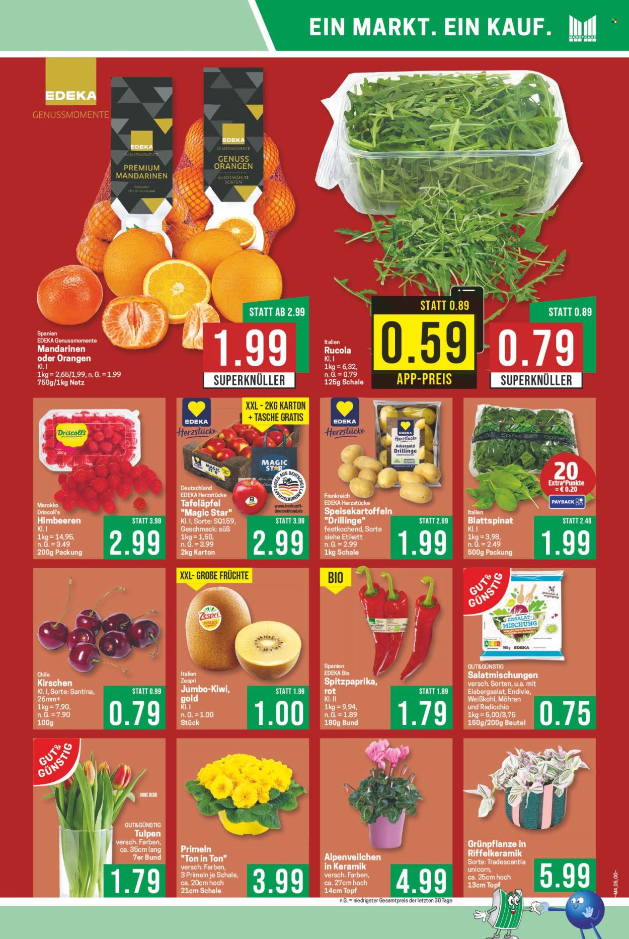 Marktkauf Prospekte  - 19.01.2026 - 24.01.2026. Seite 5