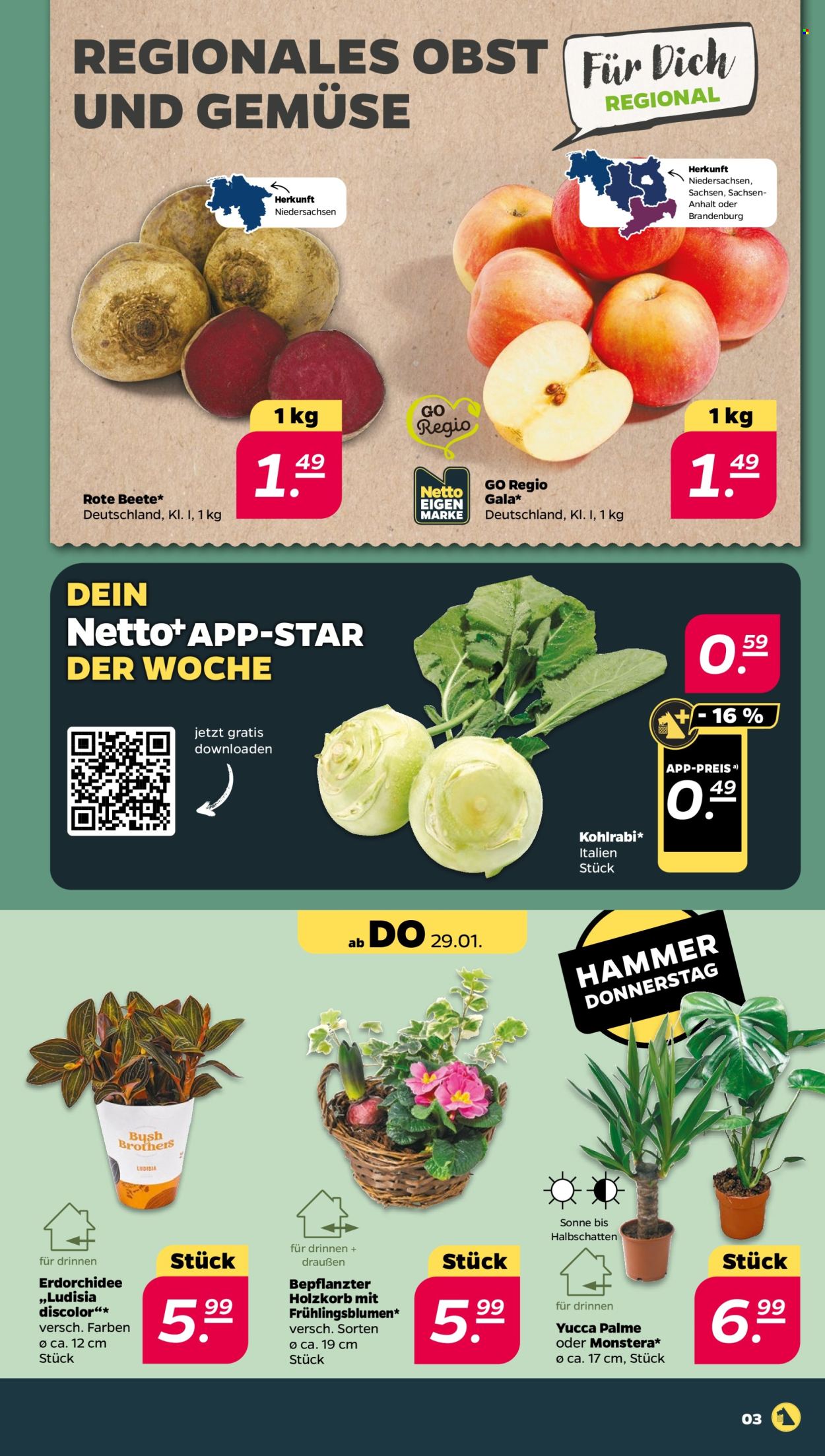 Netto Prospekte  - 26.01.2026 - 31.01.2026. Seite 3