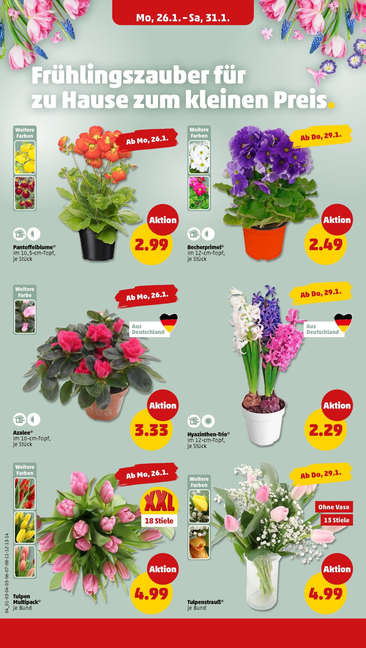 Penny Prospekte  - 26.01.2026 - 31.01.2026. Seite 6