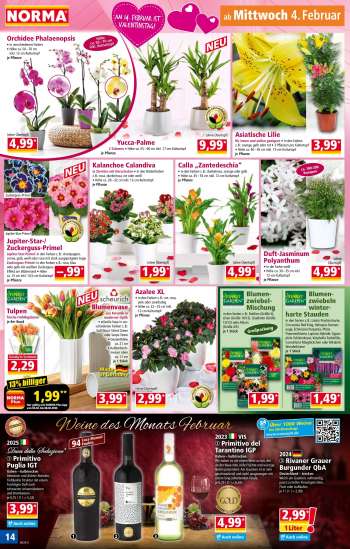 thumbnail - Blumenzwiebeln winterharte Stauden