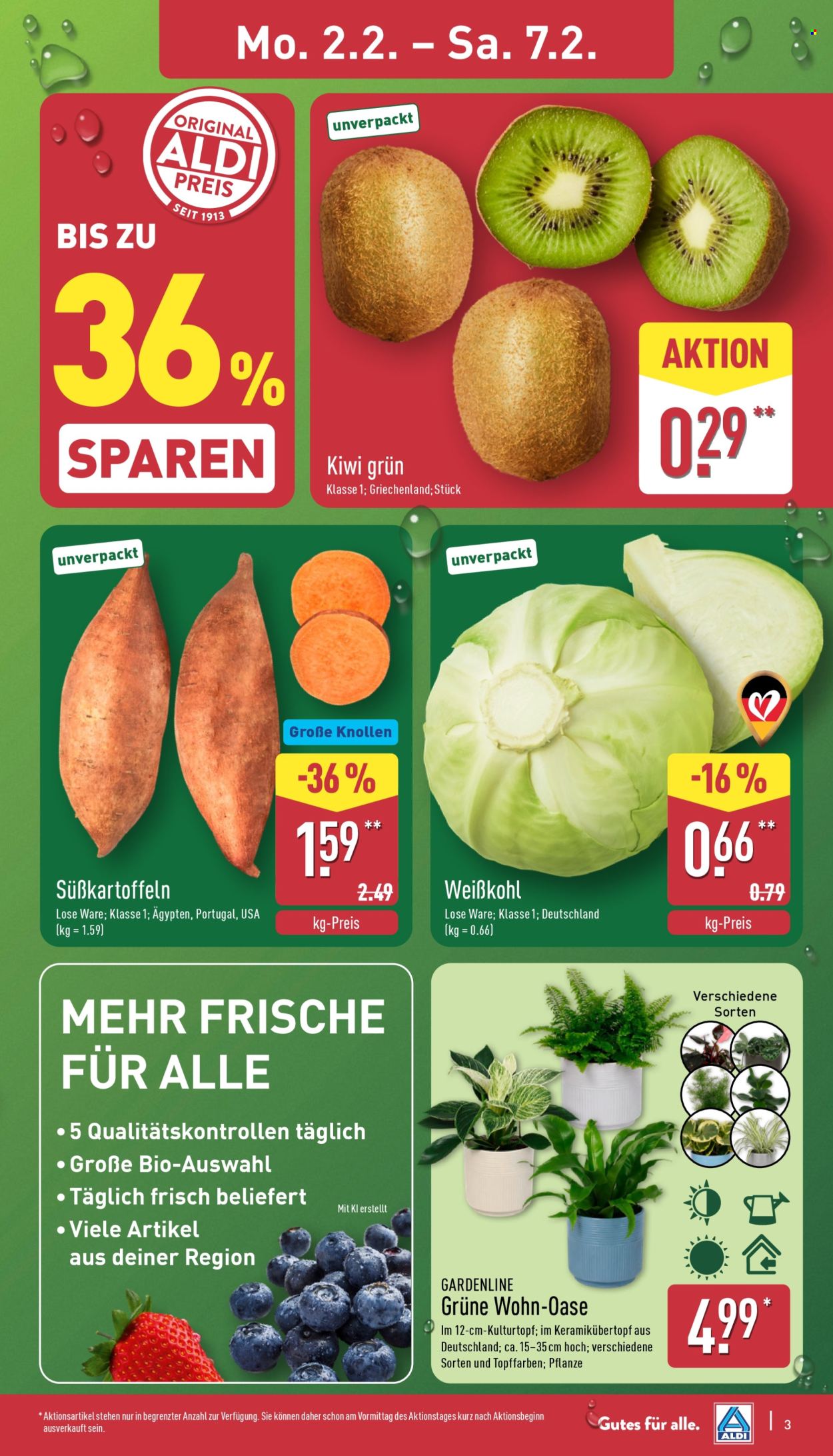 ALDI Nord Prospekte  - 2.02.2026 - 7.02.2026. Seite 3