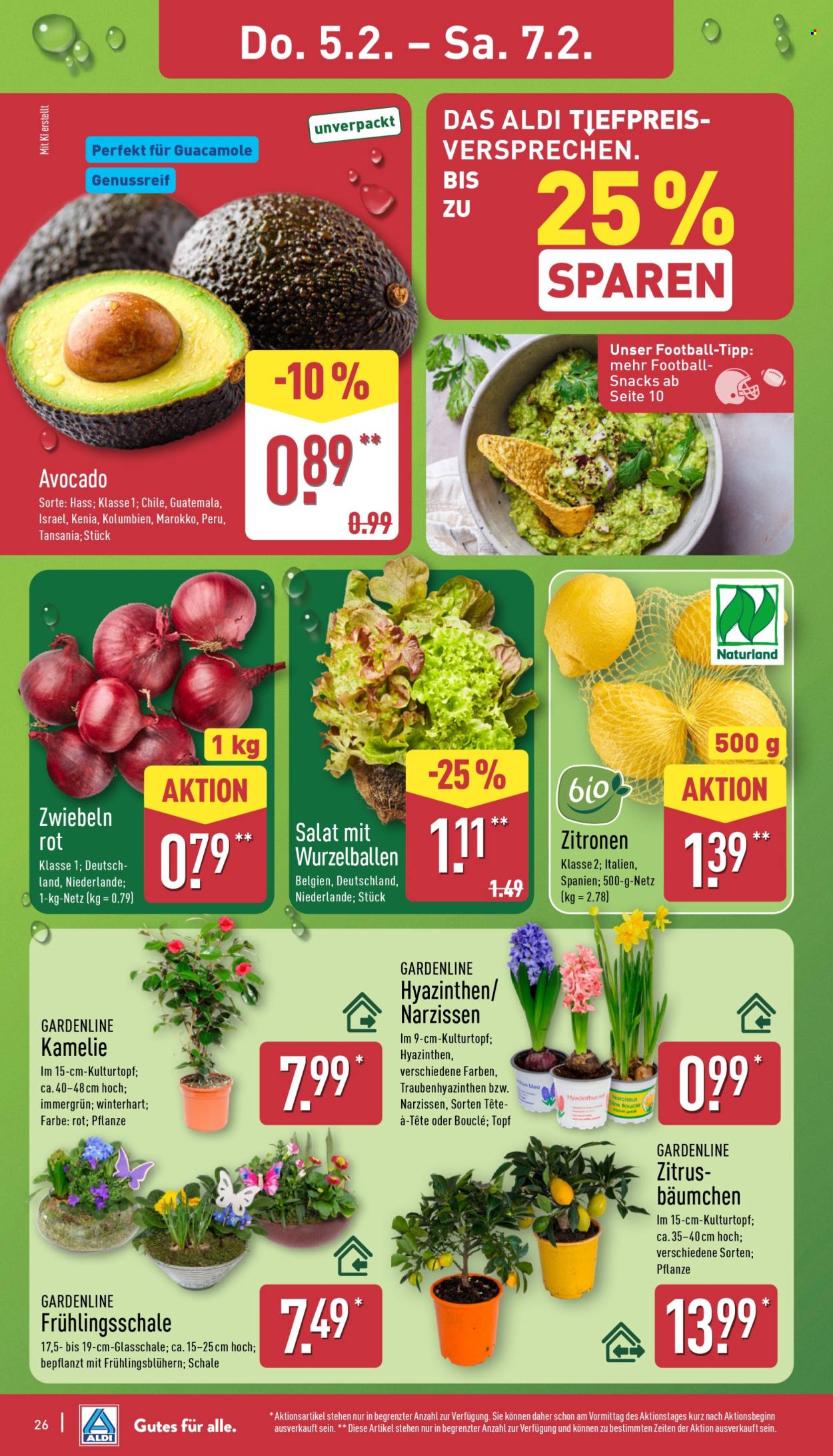 ALDI Nord Prospekte  - 2.02.2026 - 7.02.2026. Seite 28