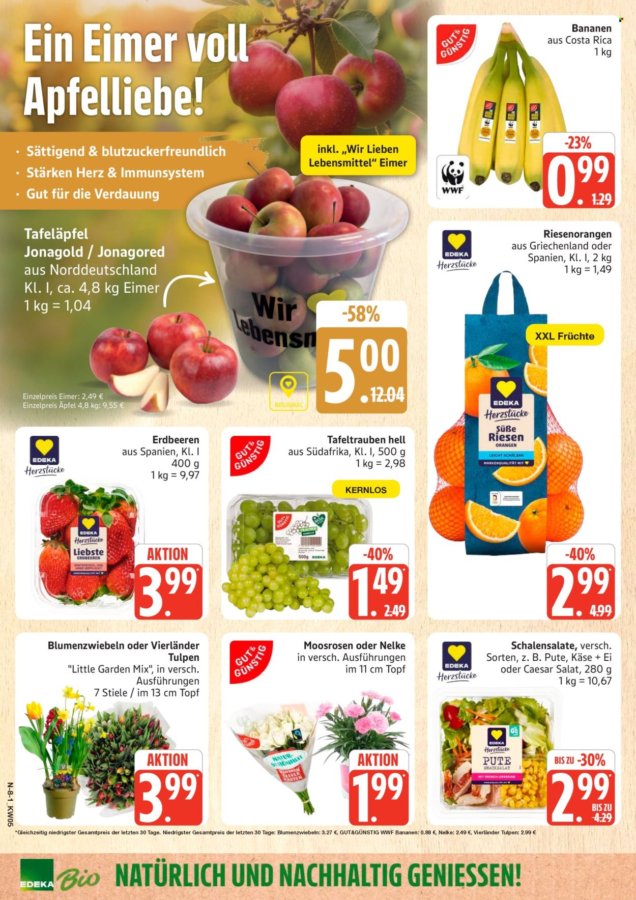 Marktkauf Prospekte  - 26.01.2026 - 31.01.2026. Seite 8