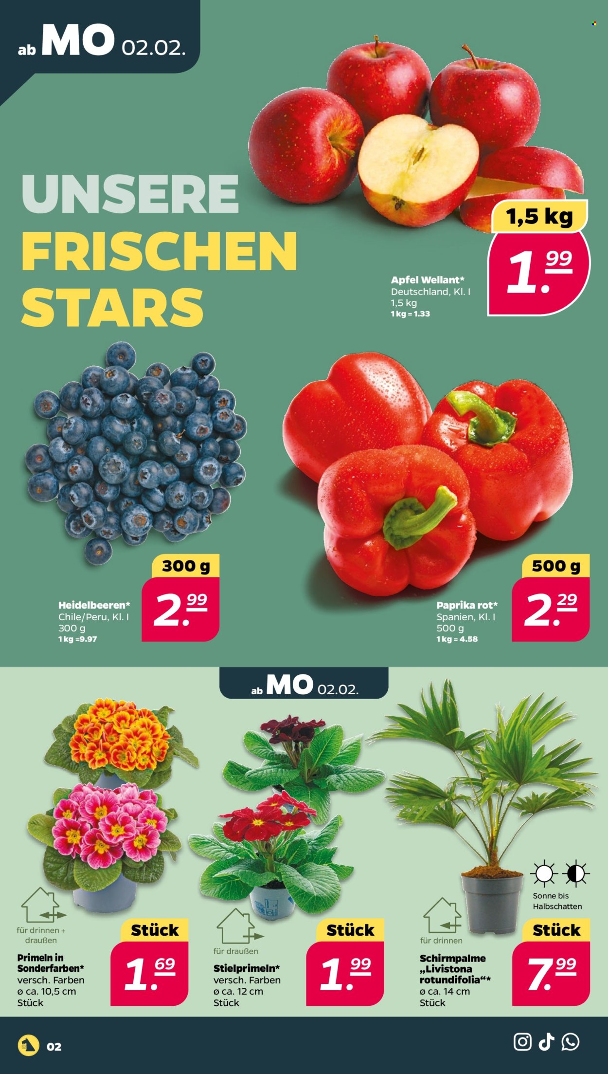 Netto Prospekte  - 2.02.2026 - 7.02.2026. Seite 2
