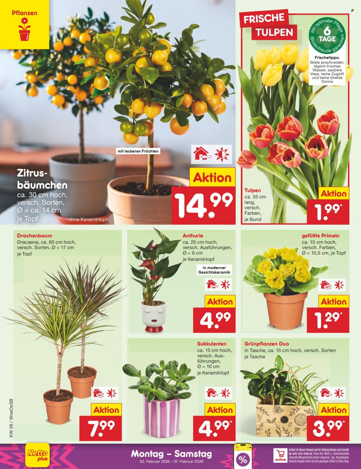 Netto Marken-Discount Prospekte  - 2.02.2026 - 7.02.2026. Seite 8