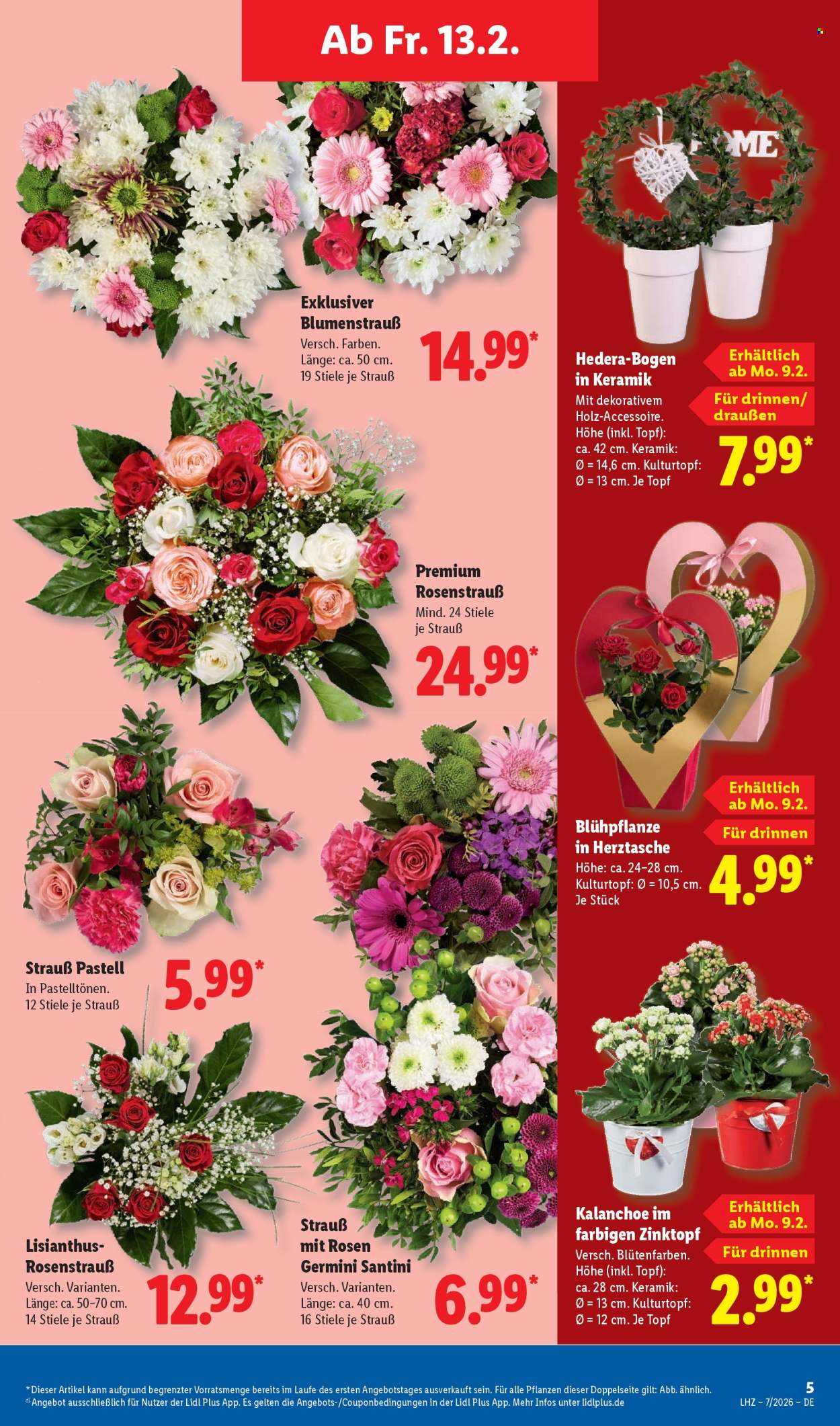 Lidl Prospekte  - 9.02.2026 - 14.02.2026. Seite 13