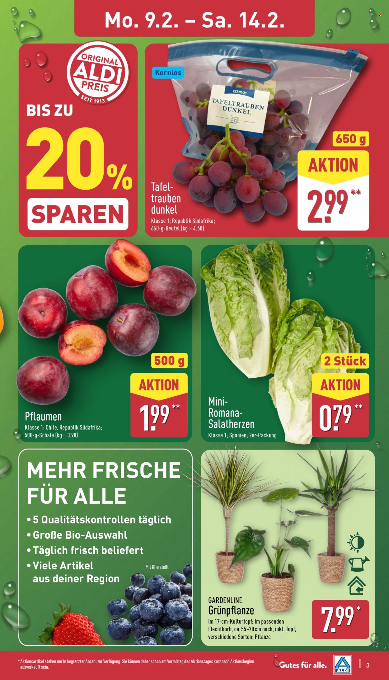 ALDI Nord Prospekte  - 9.02.2026 - 14.02.2026. Seite 3