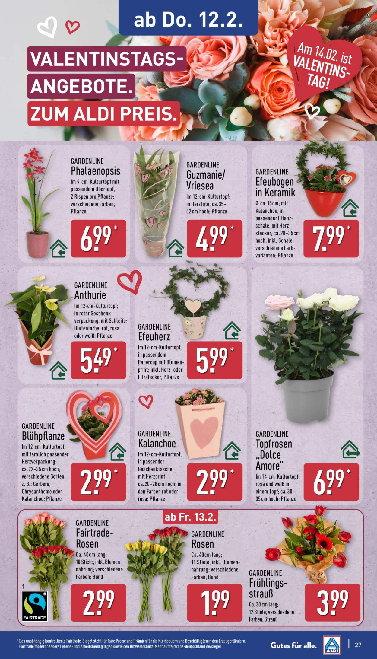 ALDI Nord Prospekte  - 9.02.2026 - 14.02.2026. Seite 30
