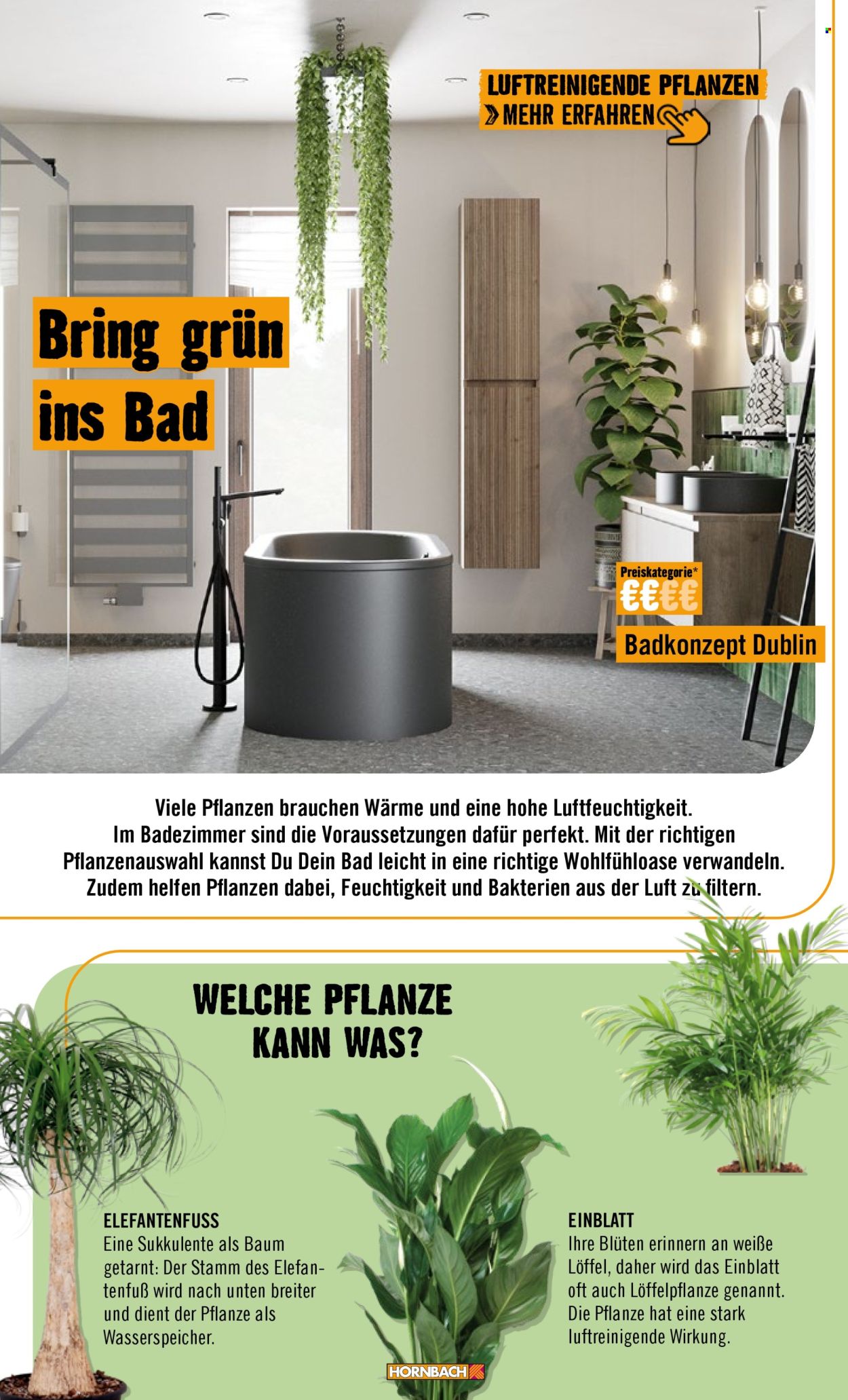 Hornbach Prospekte . Seite 66