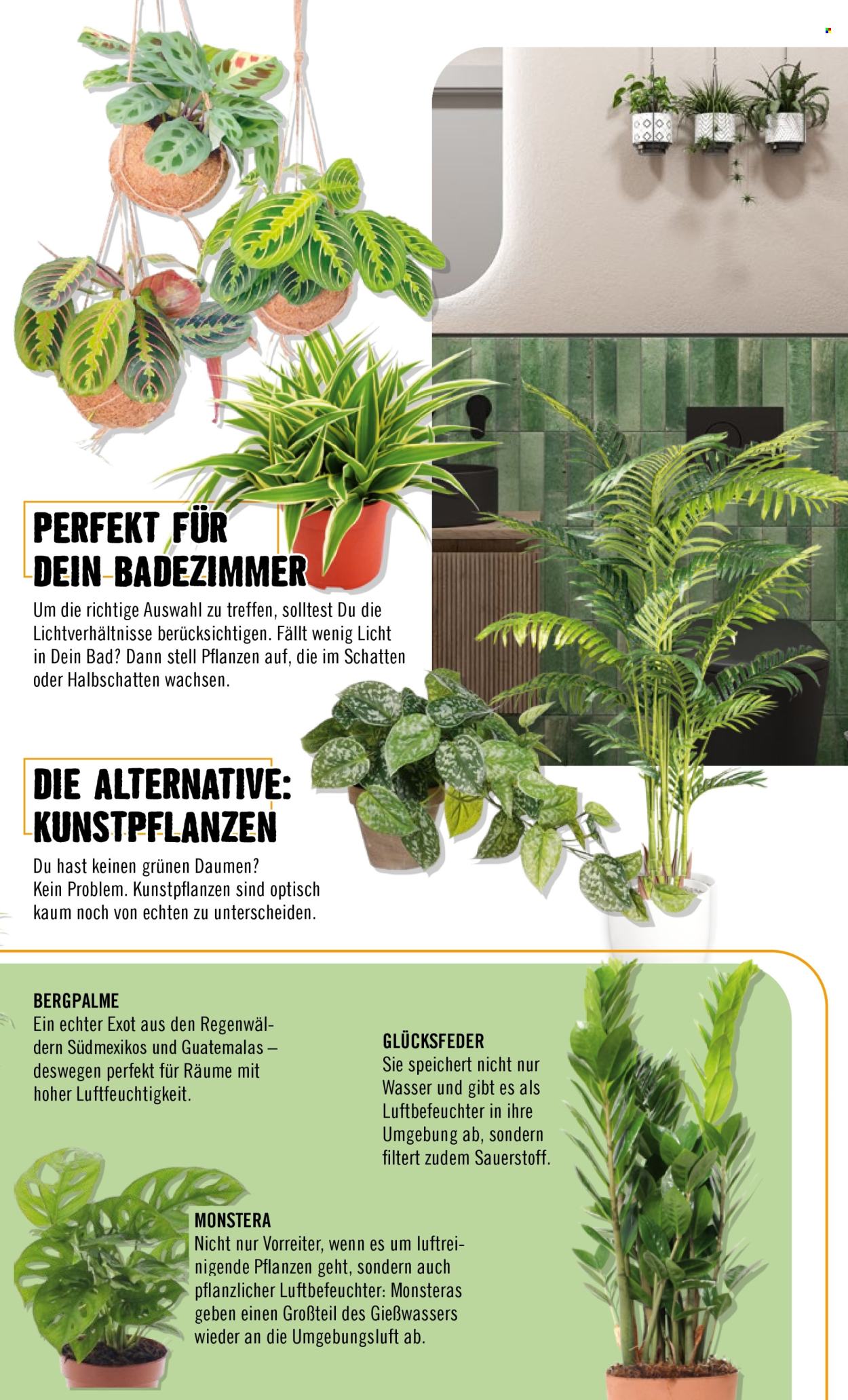 Hornbach Prospekte . Seite 67