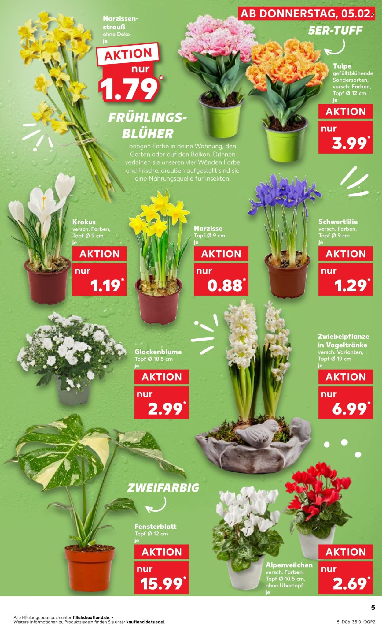 Kaufland Prospekte  - 5.02.2026 - 11.02.2026. Seite 5
