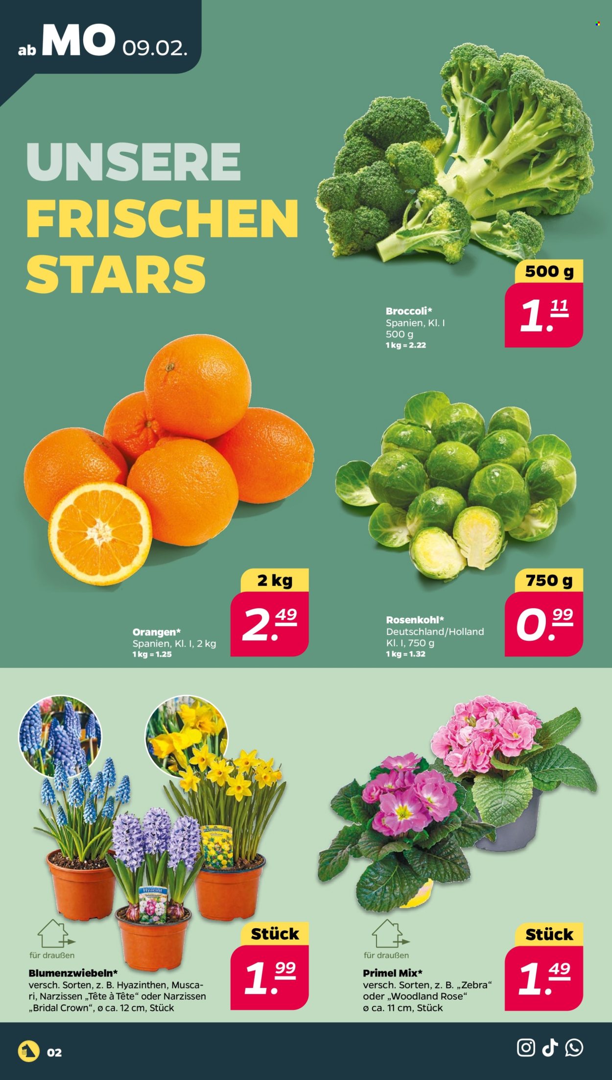 Netto Prospekte  - 9.02.2026 - 14.02.2026. Seite 2