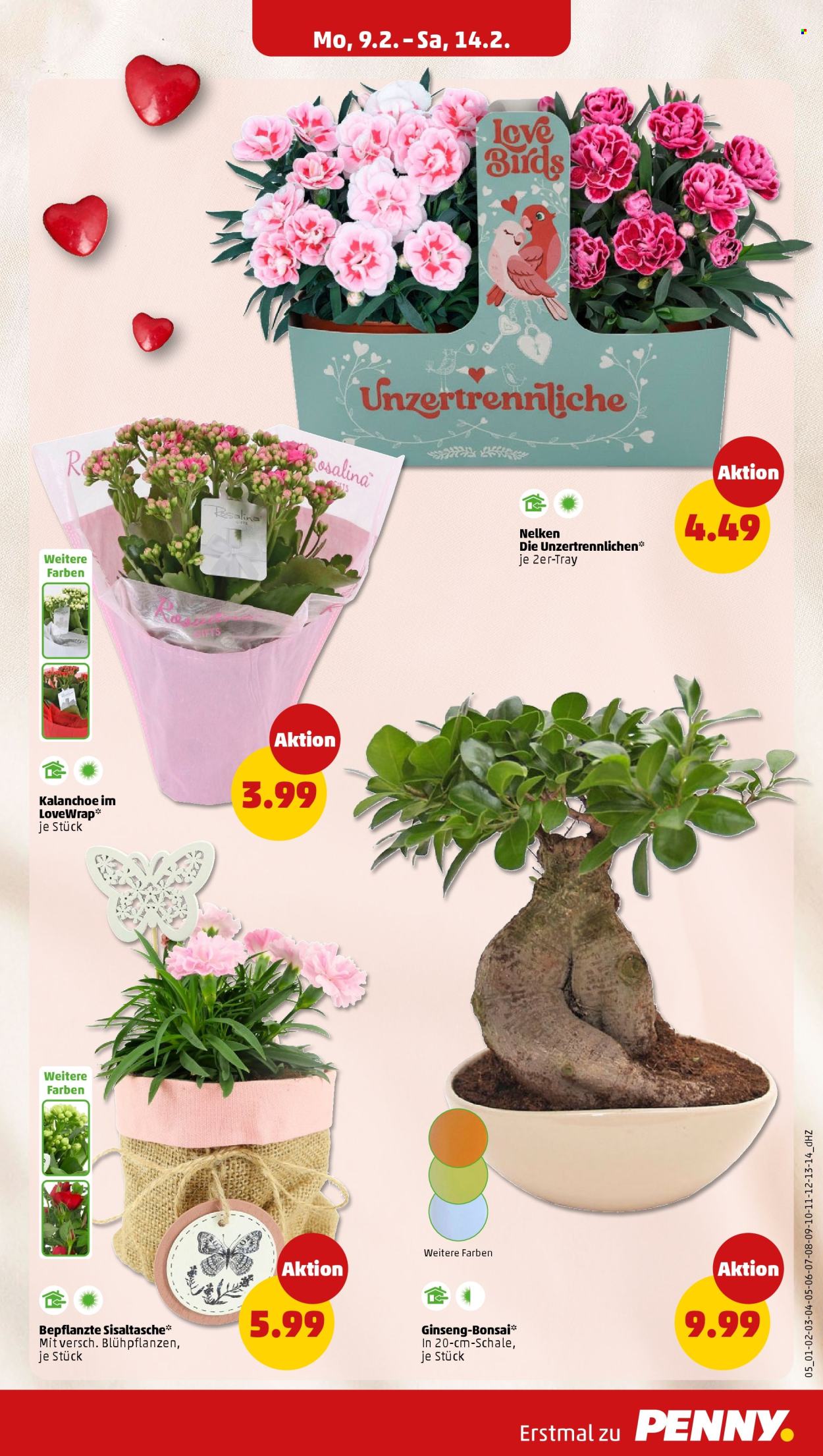 Penny Prospekte  - 9.02.2026 - 14.02.2026. Seite 9