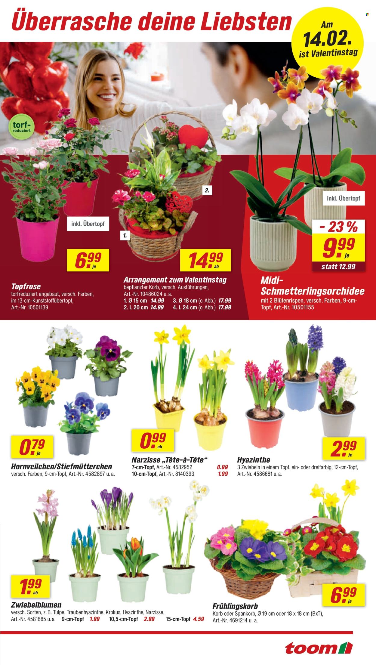 toom Baumarkt Prospekte  - 7.02.2026 - 13.02.2026. Seite 3