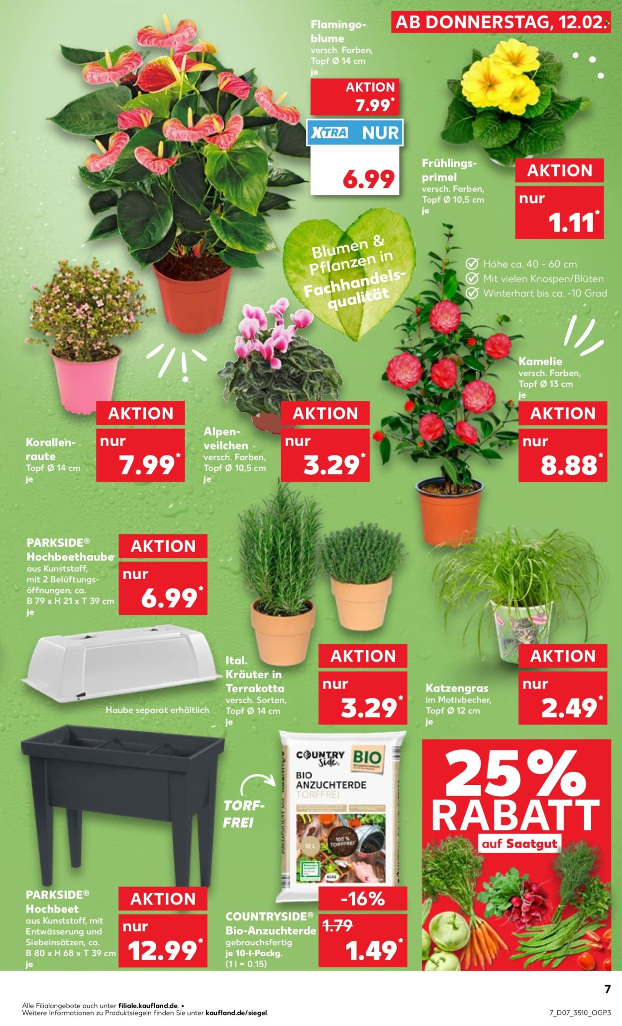 Kaufland Prospekte  - 12.02.2026 - 18.02.2026. Seite 7