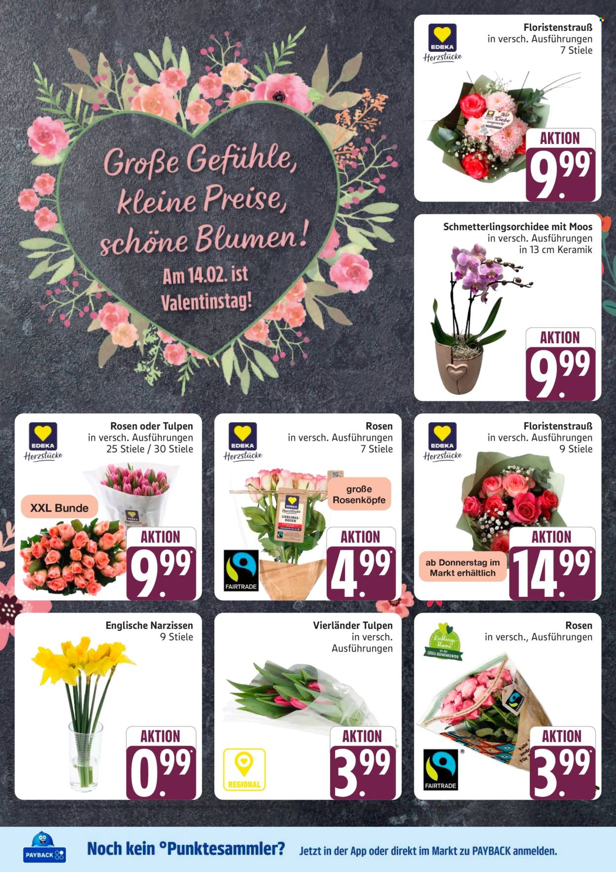Marktkauf Prospekte  - 9.02.2026 - 14.02.2026. Seite 10